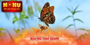 Ngủ Mơ Thấy Bướm